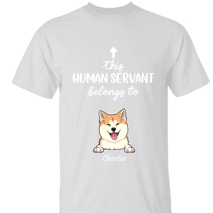 60ffbbf646a39_large