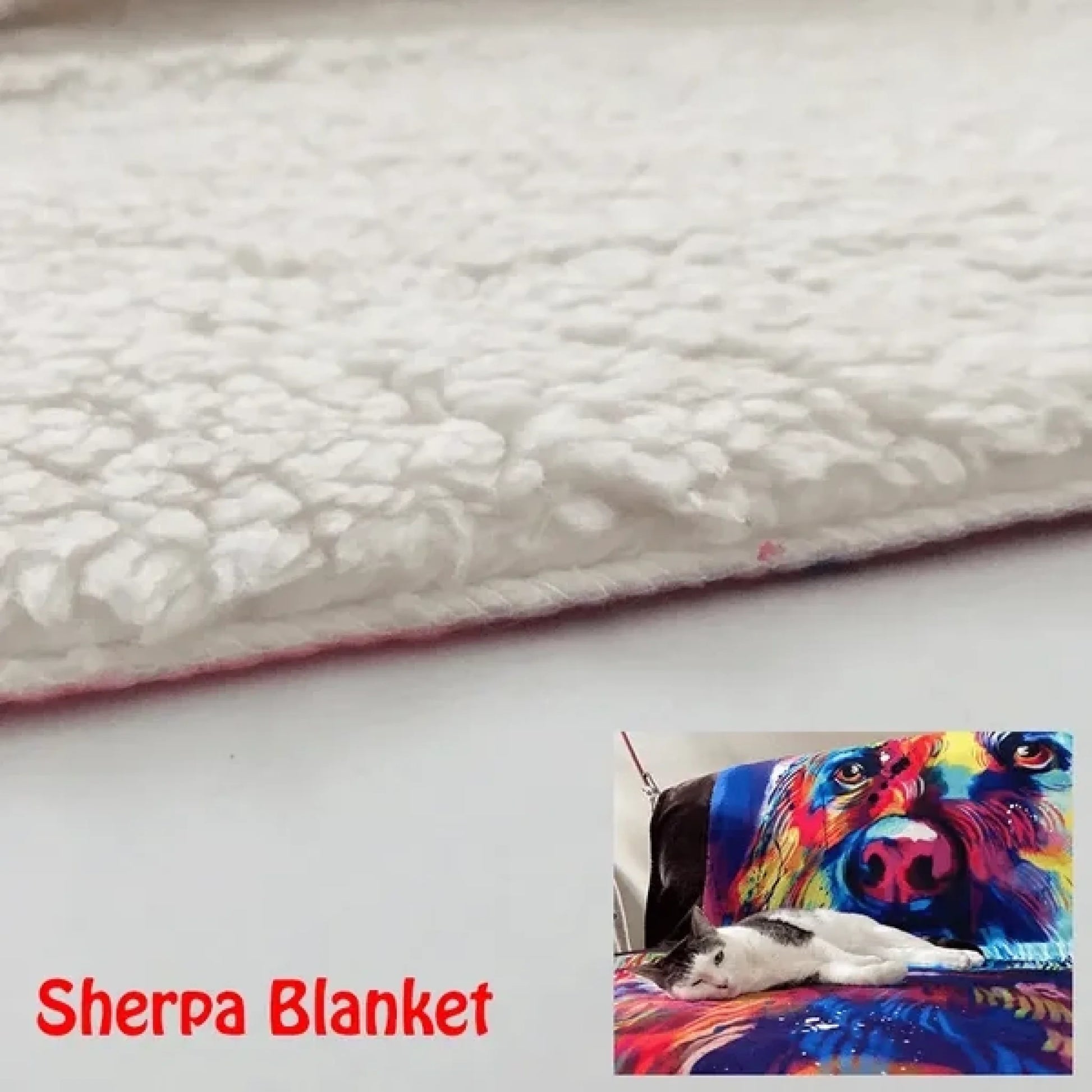 63fc6894c0c30_large